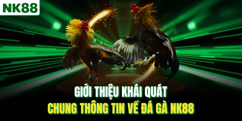 Giới thiệu khái quát chung thông tin về đá gà NK88